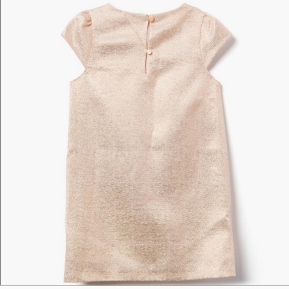 Gymboree Girls Metallic Dress - Picture 2 of 8
